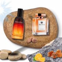 Fahrenheit - Roya Eau De Perfum