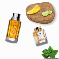 Hugo Boss - The Scent