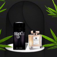 Black XS - Roya Perfume