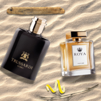 Trussardi - Uomo
